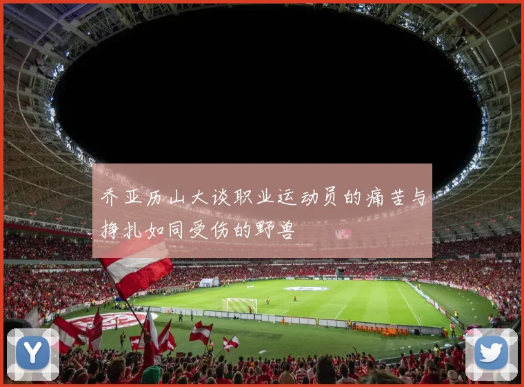 乔亚历山大谈职业运动员的痛苦与挣扎如同受伤的野兽