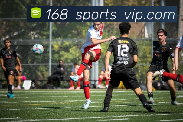 168体育平台生态图